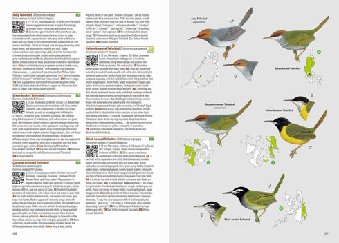 Birds of the Philippines (Allen) 2020 Kovakantinen