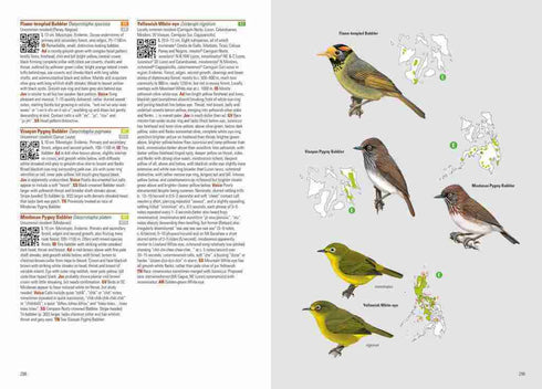 Birds of the Philippines (Allen) 2020 Kovakantinen