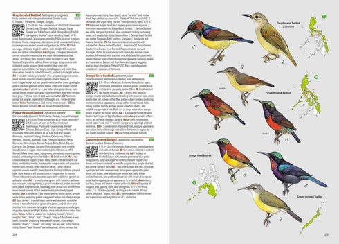 Birds of the Philippines - Desmond Allen 2020 Flexi