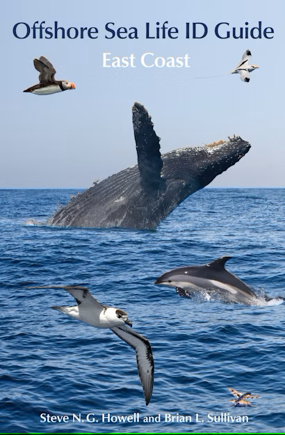 Offshore Sea Life ID Guide East Coast - Howell,S. 2015