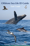 Offshore Sea Life ID Guide East Coast - Howell,S. 2015