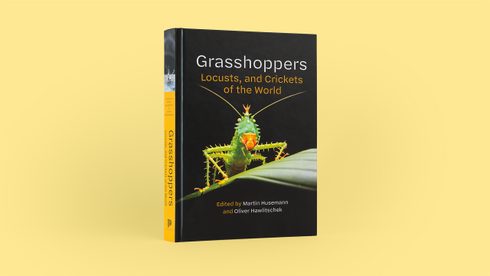 Grasshoppers, Locusts, and Crickets of the World – Husemann, M. ja Hawlitschek, O. 2026