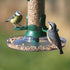 Ruokinta, GJ-Garden Bird feeder Tray, lautanen putkimallisiin ruokintalaitteisiin