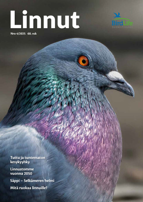 Linnut lehti 4/2025 - Birdlife