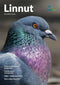 Linnut lehti 4/2025 - Birdlife