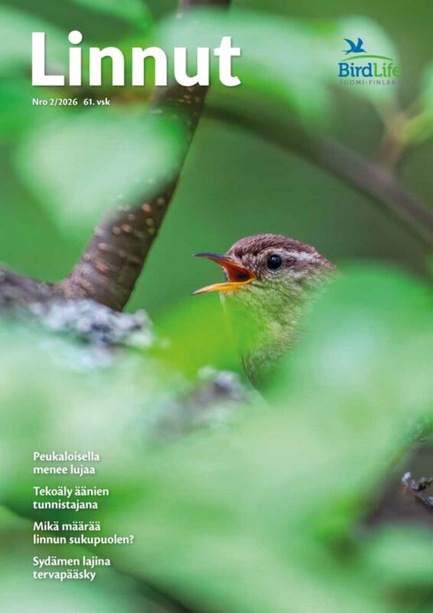Linnut lehti - Birdlife nro: 2/2026