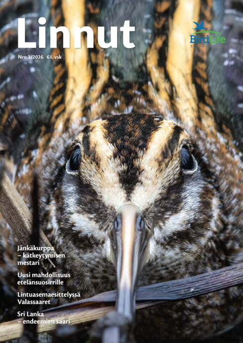 Linnut lehti - Birdlife nro: 3/2026