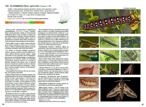 Suomen Perhoset ja toukat - opas tunnistamiseen, elintapoihin ja kasvatukseen, Kimmo Silvennoinen 4/2024