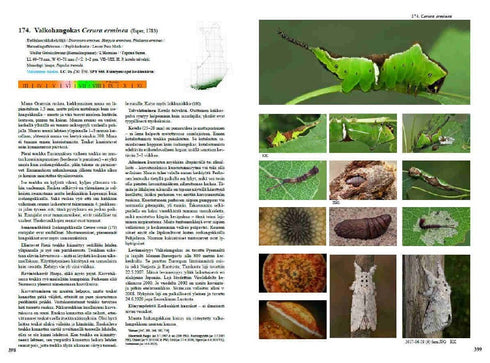Suomen Perhoset ja toukat - opas tunnistamiseen, elintapoihin ja kasvatukseen, Kimmo Silvennoinen 4/2024