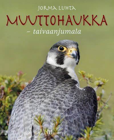 Muuttohaukka - taivaanjumala - Jorma Luhta 2007