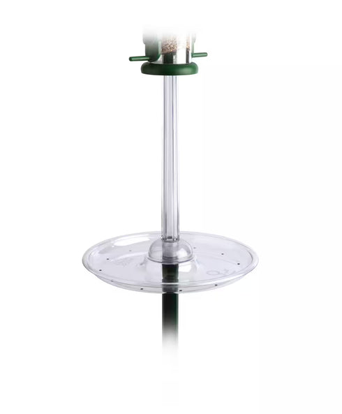 Ruokinta, Pigeon Spacer™ antaa pikkulinnuille ruokarauhan