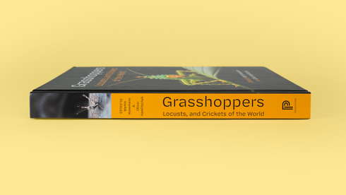 Grasshoppers, Locusts, and Crickets of the World – Husemann, M. ja Hawlitschek, O. 2026