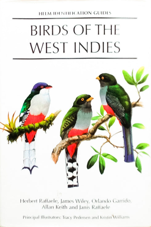 Birds of West Indies - Raffaele, H. 1998