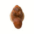 Bottle Stopper Squirrel, Orava, pullon tulppa