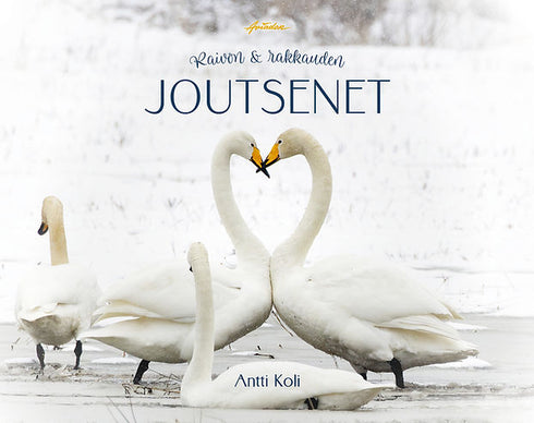 Raivon ja rakkauden joutsenet - Antti Koli 2026