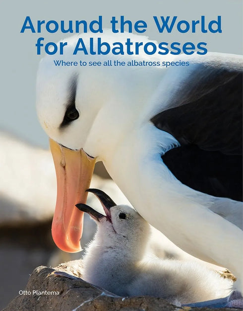 Around the World for Albatrosses: Where to See All the Albatross Species - Otto Plantema 2019