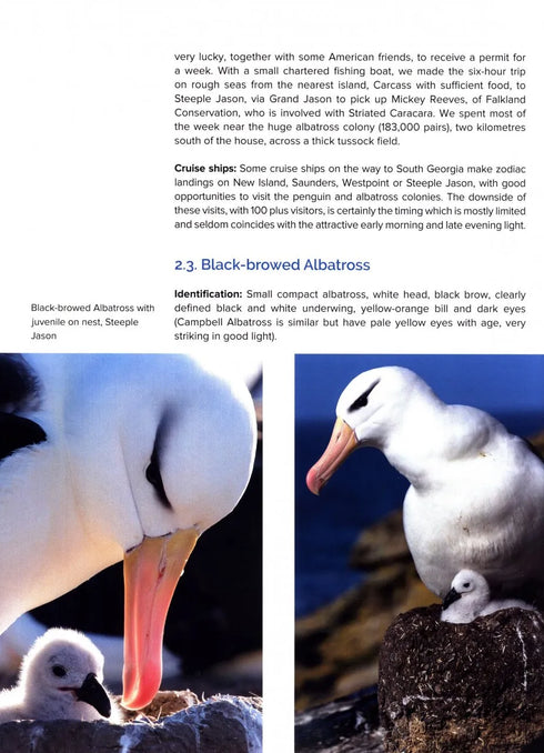 Around the World for Albatrosses: Where to See All the Albatross Species - Otto Plantema 2019