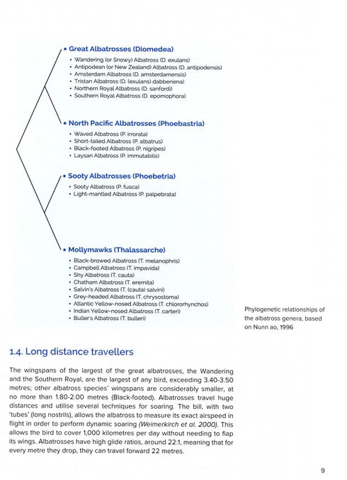 Around the World for Albatrosses: Where to See All the Albatross Species - Otto Plantema 2019