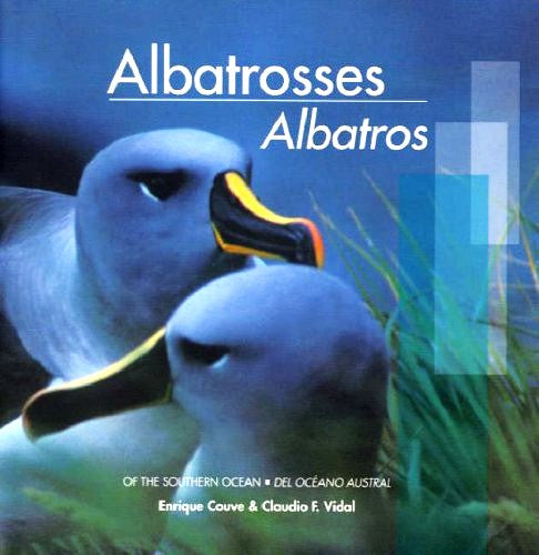 Albatrosses - Enrique Couve 2005