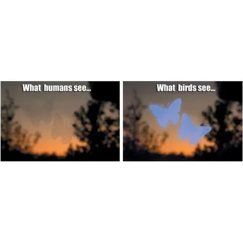 Window Alert, ikkunatarra: Perhonen