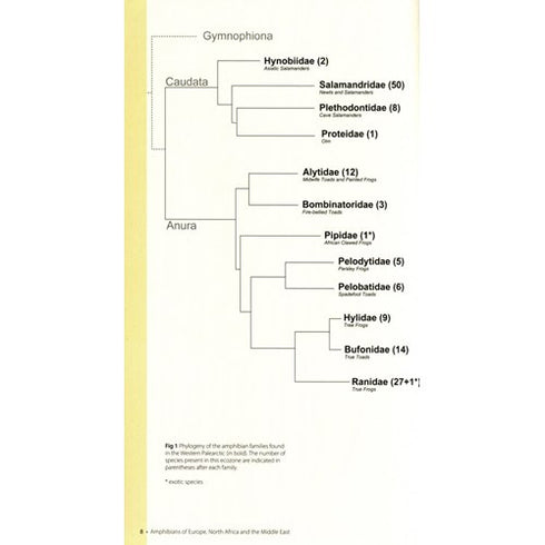 Amphibians of Europe, North Afica & the Middle East - Dufresnes,C. 2019