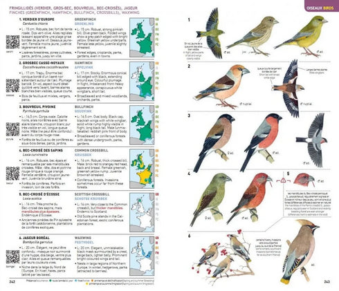 Identifying Animals, All Verterates of France, Benelux, Great Britain and Ireland - Geniez,M. ym. 2012