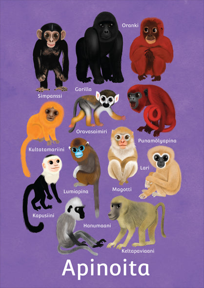 Postikortti - apinoita
