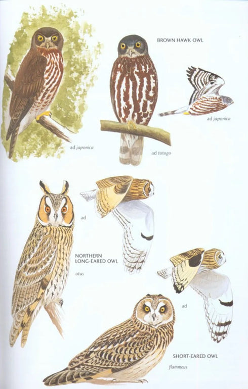 Birds of East Asia - Brazil, M. 2009