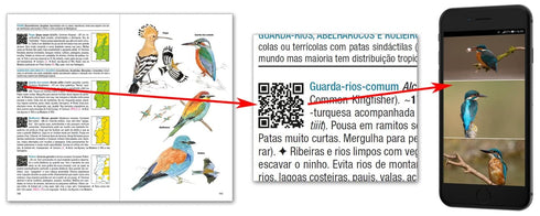 Aves de Portugal - Costa, de Juhana, Vatela 2018