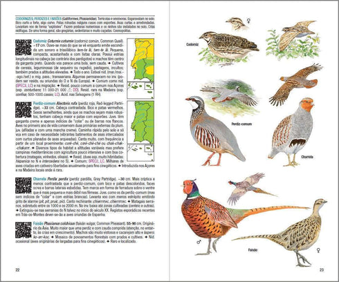 Aves de Portugal - Costa, de Juhana, Vatela 2018