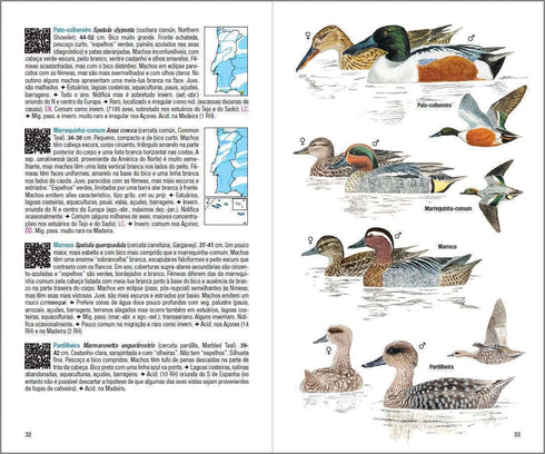 Aves de Portugal - Costa, de Juhana, Vatela 2018