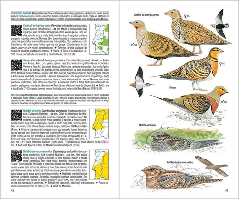Aves de Portugal - Costa, de Juhana, Vatela 2018
