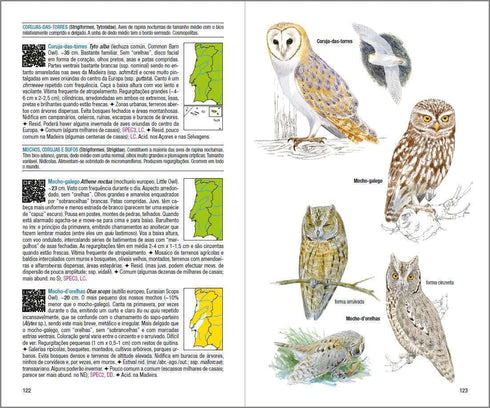 Aves de Portugal - Costa, de Juhana, Vatela 2018