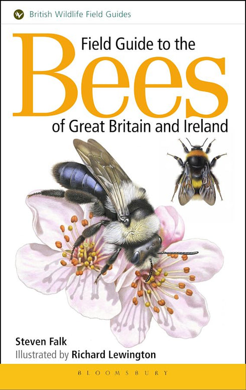 Field Guide to the Bees of Great Britain and Ireland - Steven Falk 2016