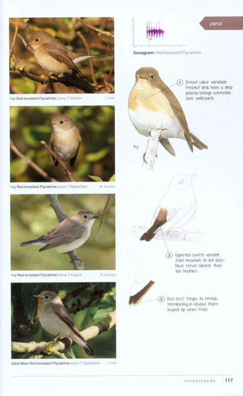 Birding Frontiers Challenge Series AUTUMN - Garner, M. 2014