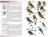 Field Guide to Birds of Greater Southern Africa - Barnes, K. ym 2024