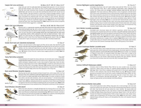 Field Guide to Birds of Greater Southern Africa - Barnes, K. ym 2024