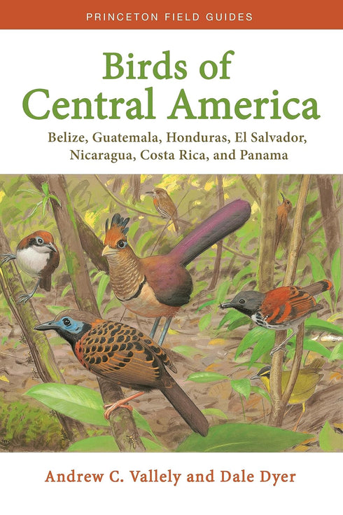 Birds of Central America - Andrew C. Vallely and Dale Dyer, 2018