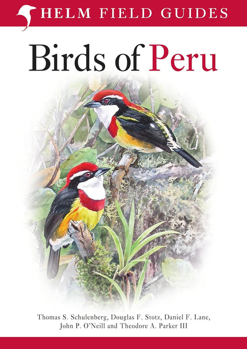 Birds of Peru - Schulenberg, T. S. ym. 2007