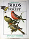 Lansdowne’s Birds of the Forest - James Fenwick Lansdowne 1989