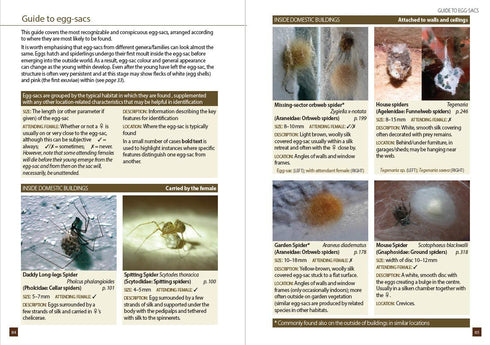 Britain`s Spiders – A Field Guide - Lawrence Bee 2017