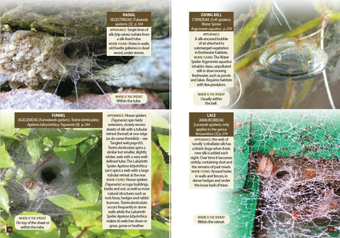 Britain`s Spiders – A Field Guide - Lawrence Bee 2017