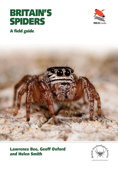 Britain`s Spiders – A Field Guide - Lawrence Bee 2017