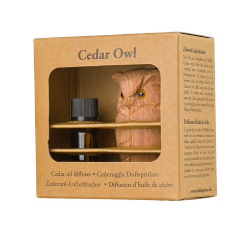 Cedar Eagle-owl - setripöllö