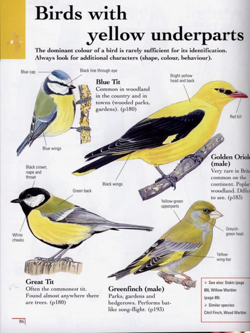 Birds by colour - Karousse, Desbordes, Duquet 2008