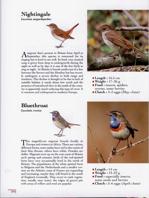 Birds by colour - Karousse, Desbordes, Duquet 2008