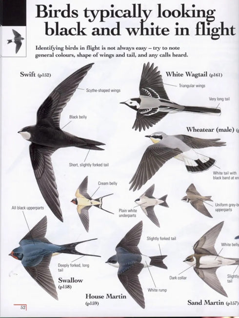 Birds by colour - Karousse, Desbordes, Duquet 2008