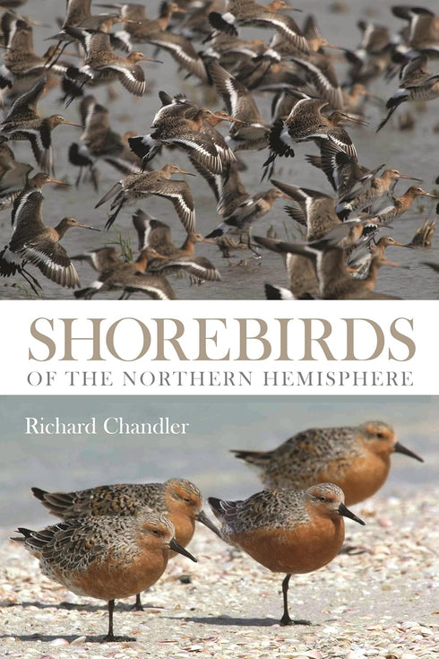 Shorebirds of Northern Hemisphere - Chandler, R. 2009