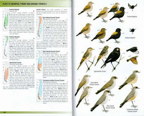 Birds of Chile -  Pińa, Cifuentes 2021