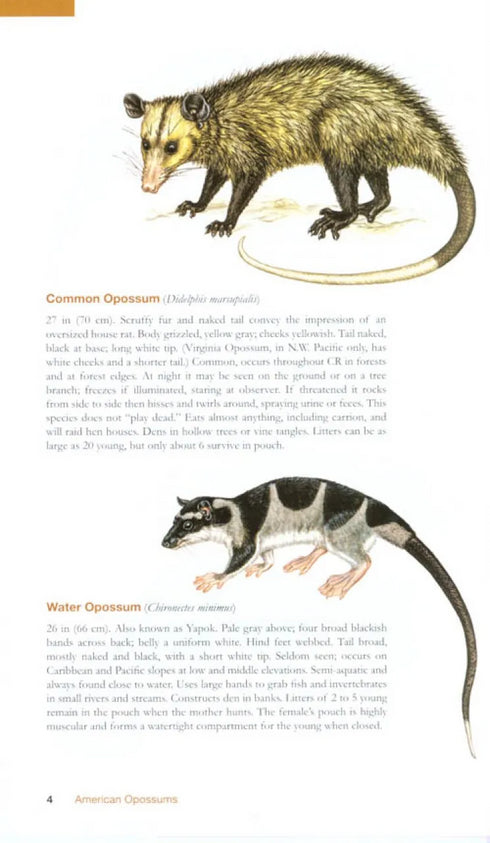 The Wildlife of Costa Rica - A field Guide - Reid,F. 2010